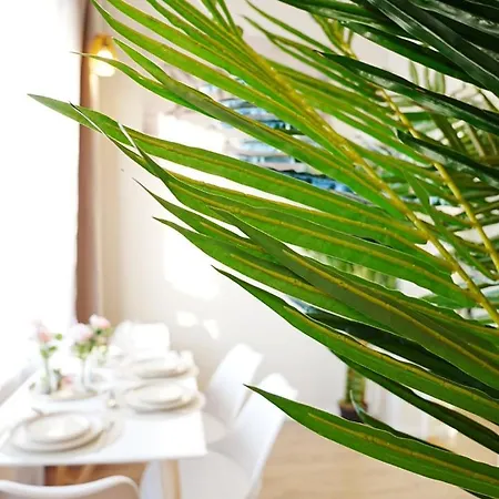 Апартаменти Cofy - Old Town, Quiet Area, Air-conditioning, Free Parking, 24-7 Check-in-out, Six Similar In Listing, One Optimal Up To 6 Person, Economy Max 8 Person